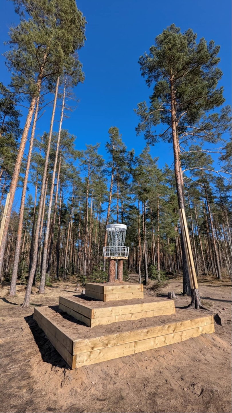 Hole 8's elevated basket with steps for easier access. 'Island hole' surrounded by out-of-bounds area.