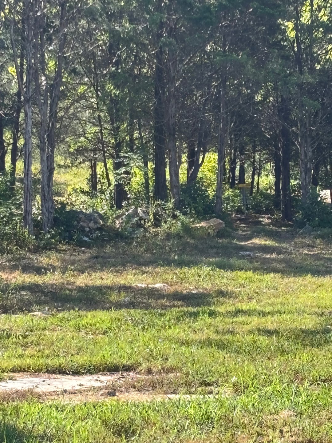 Tee view 