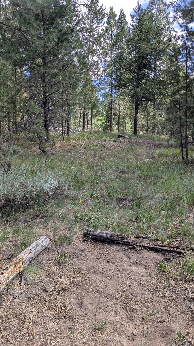 #12 Teepee Hole - Tee pad and blind, uphill approach to dog leg landing zone (Par 4)