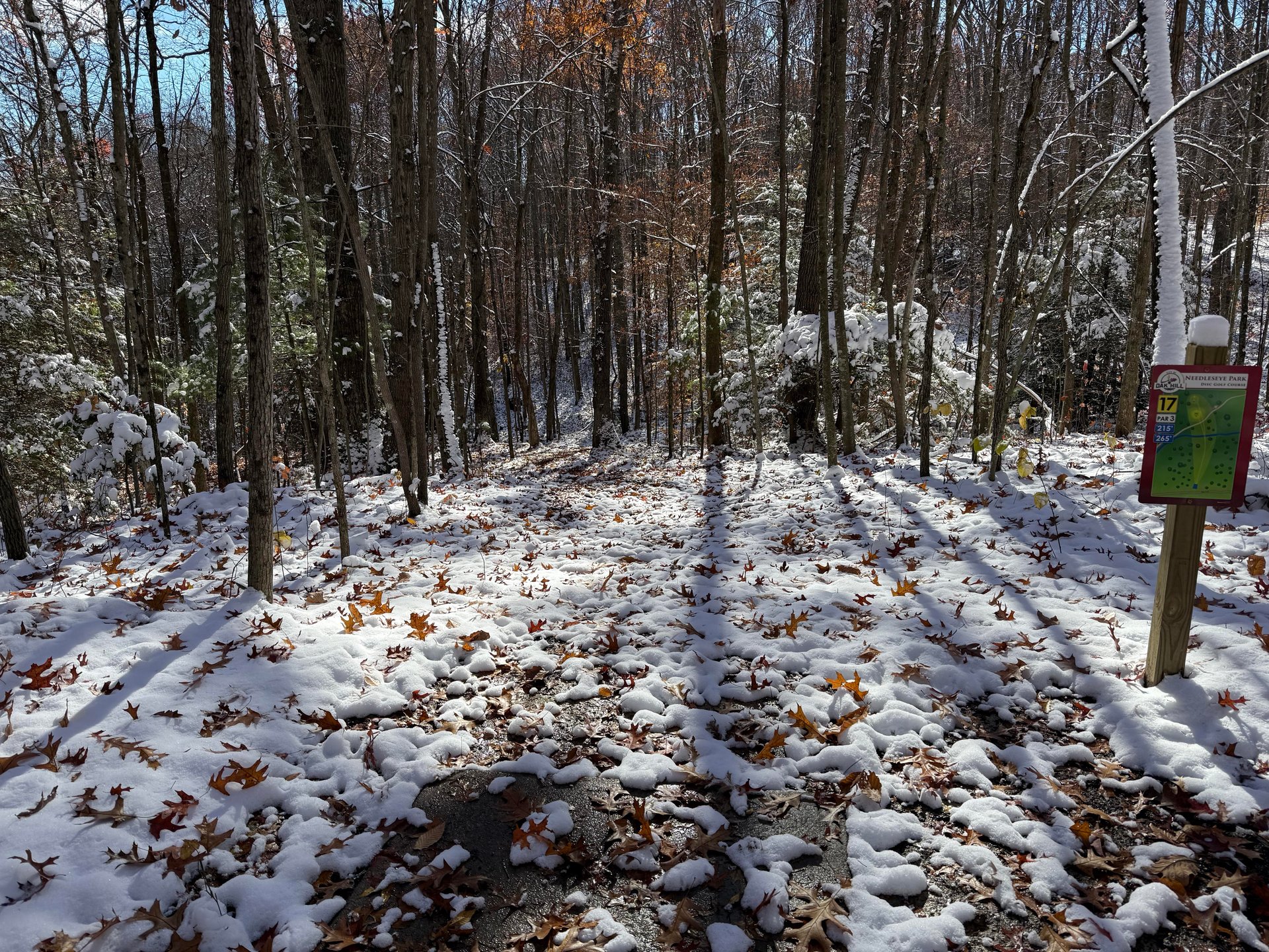 View from the teepad