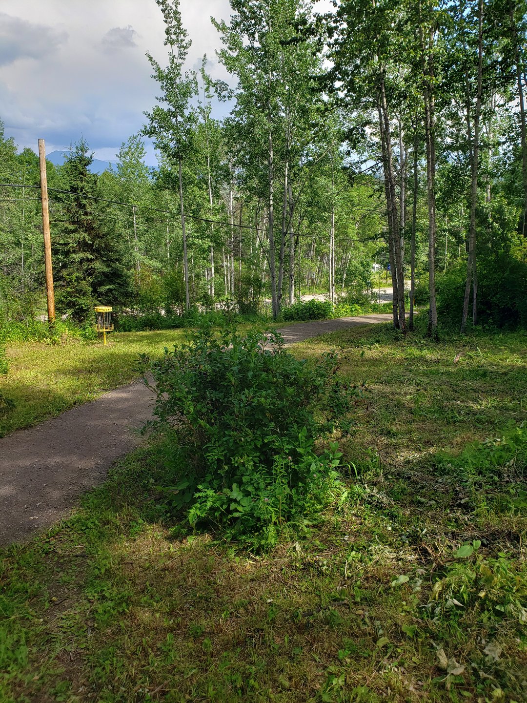 #3 basket. Note the telephone pole. It is a good marker when standing at #3 t-box.