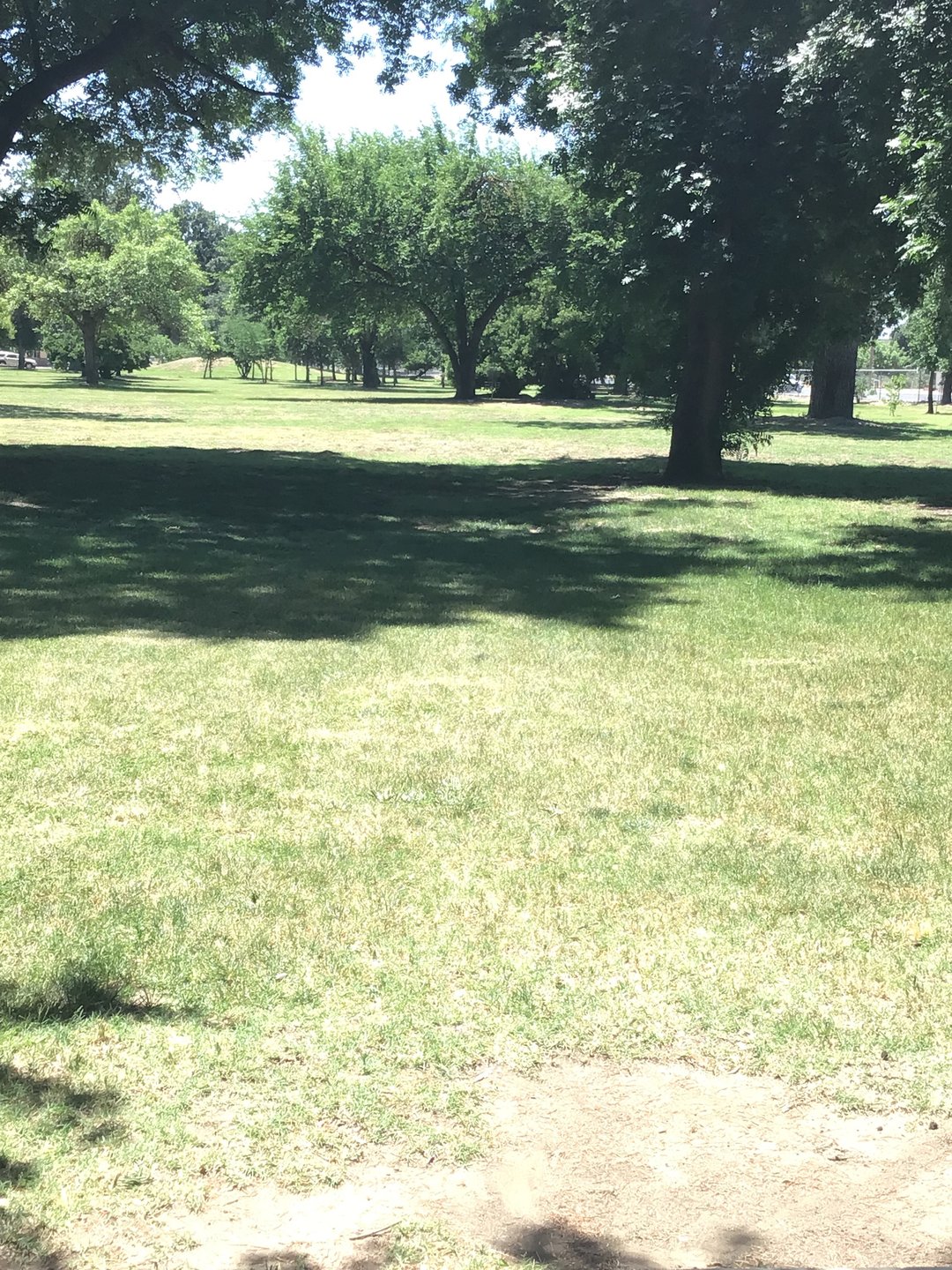 Hole 13