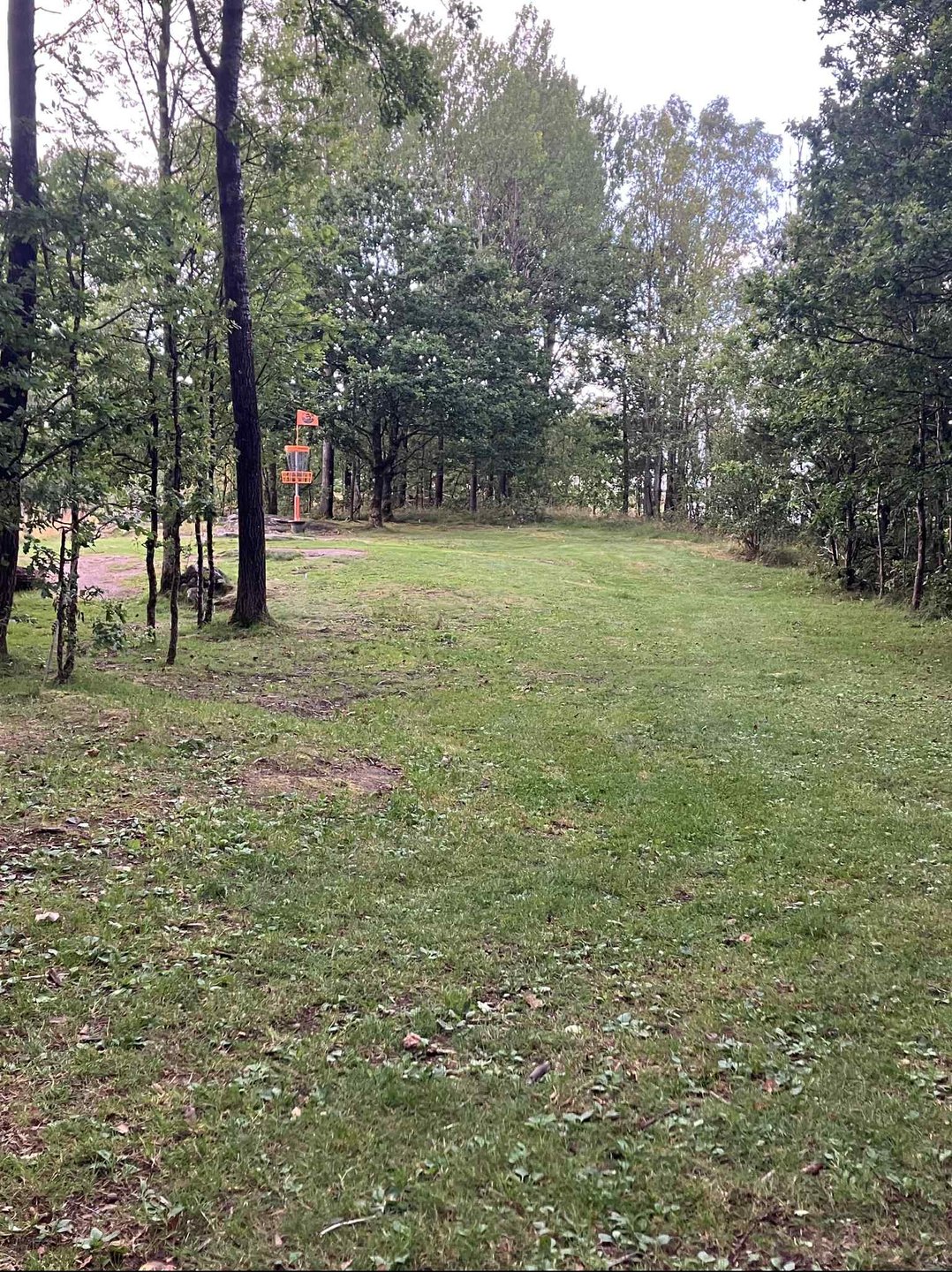 Sweetspot and basket on hole 15
