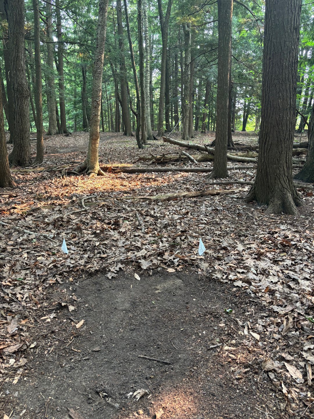 Hole 18 tee