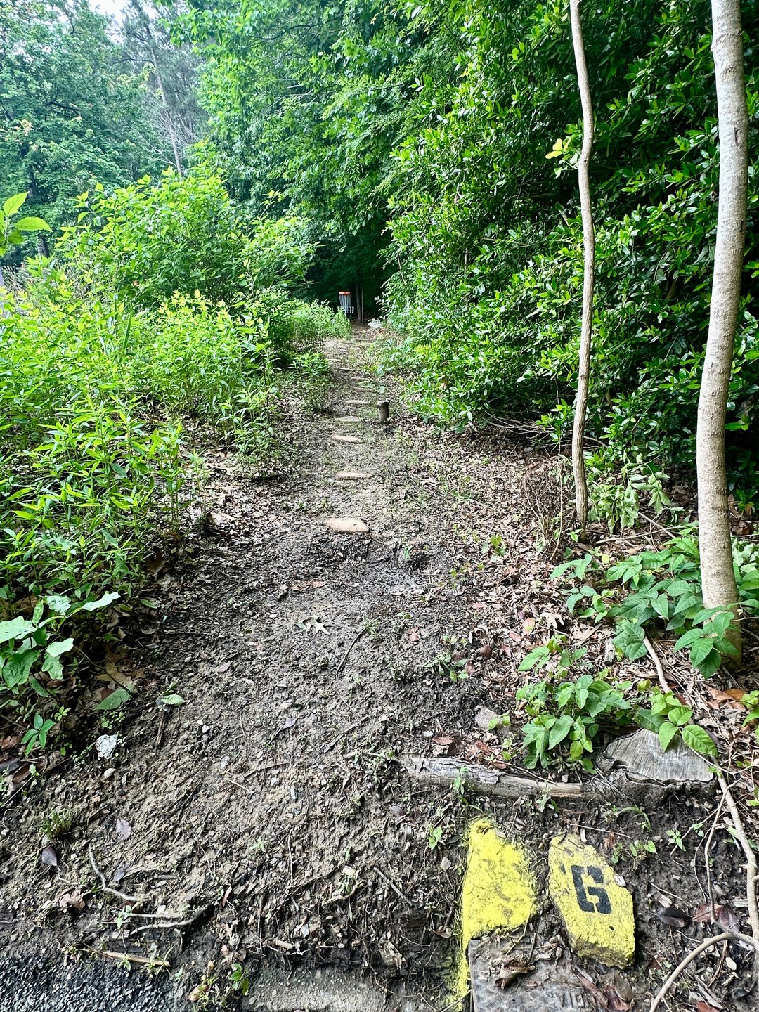 Hole #6 is the most challenging hole on the course. It's the longest and most narrow, requiring you to thread your shot between the woods to the right and the pollinator garden to the left, with tree canopy hanging above.