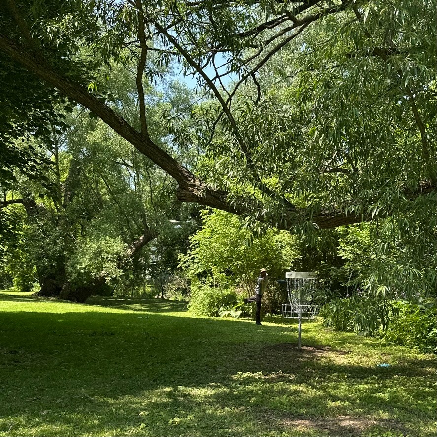 Hole 6 green, this park is a shady oasis by the river. Perfect spot for some ace-runs and practice!