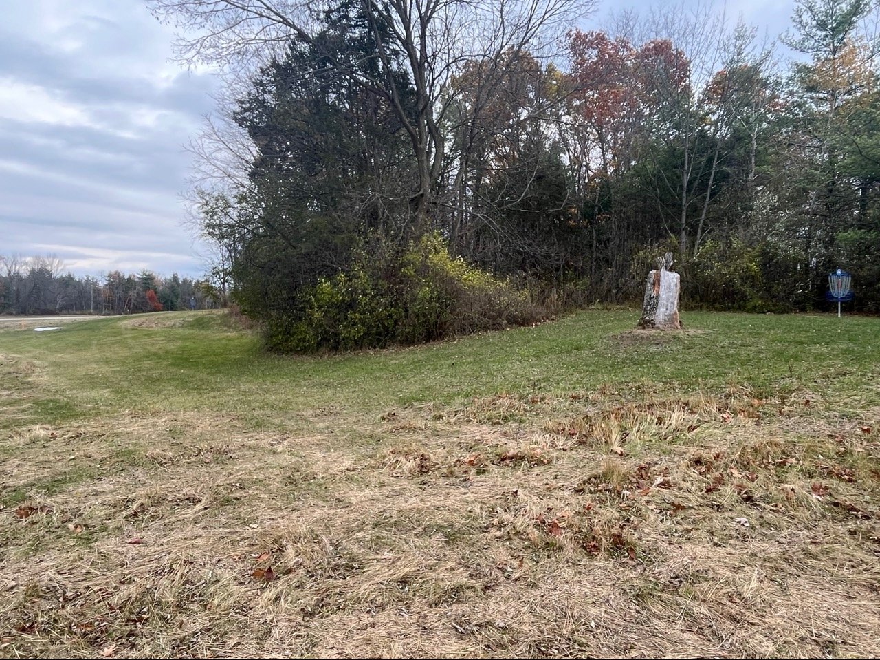 View from corner. Tee on left, basket on right.