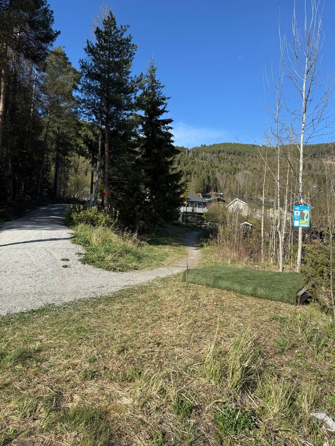 Blått utkast