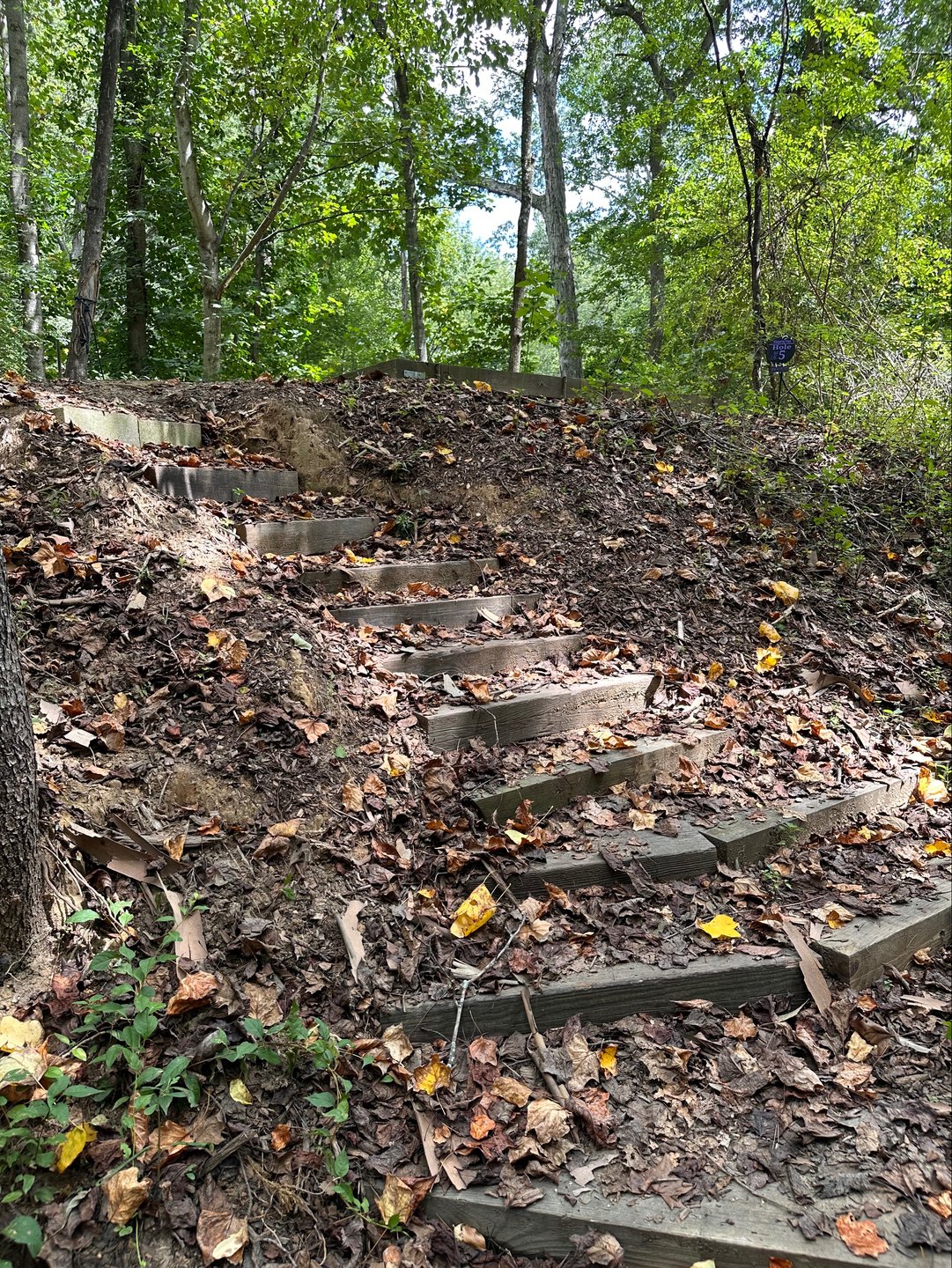 Steps to hole 5’s tee
