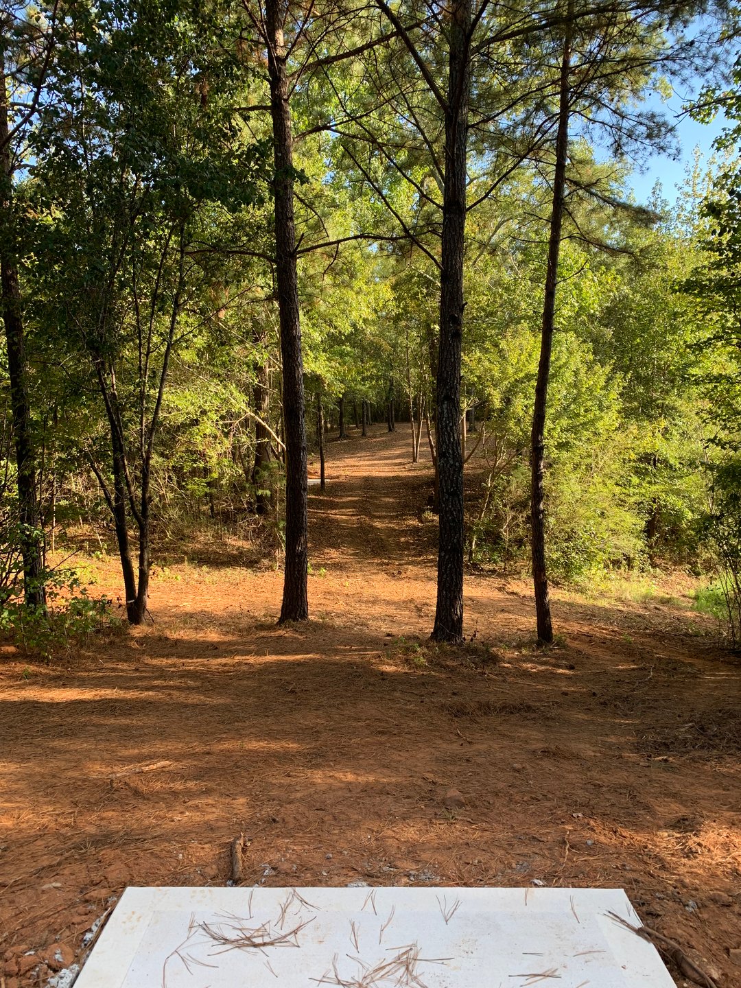 Hole 7 - Gold Tee (under construction)