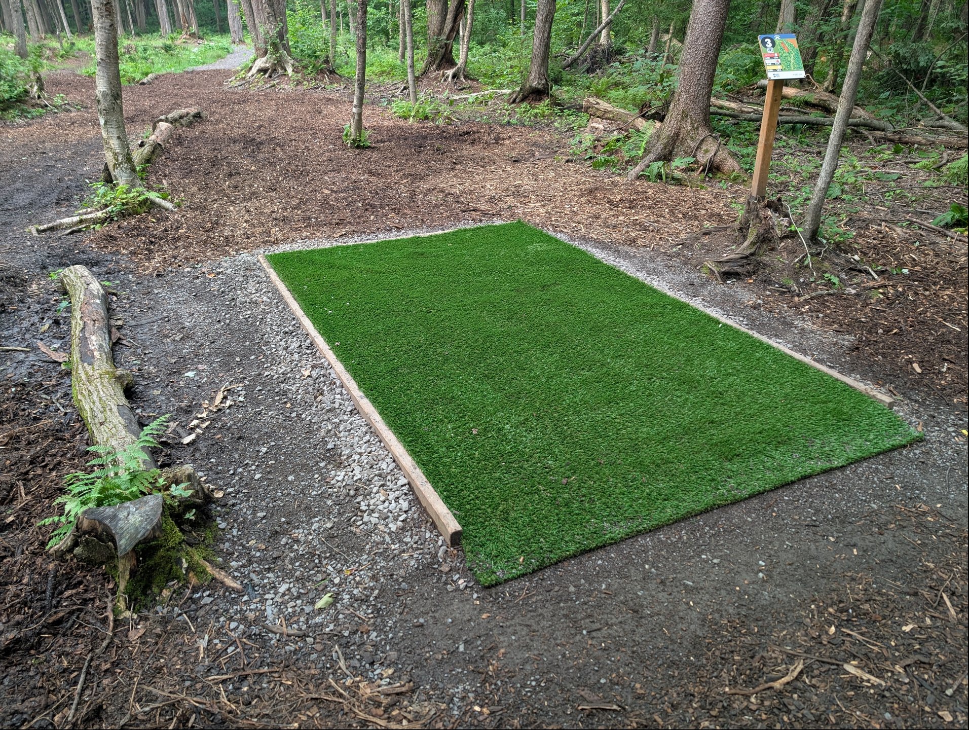 Nouveau/New turf #3