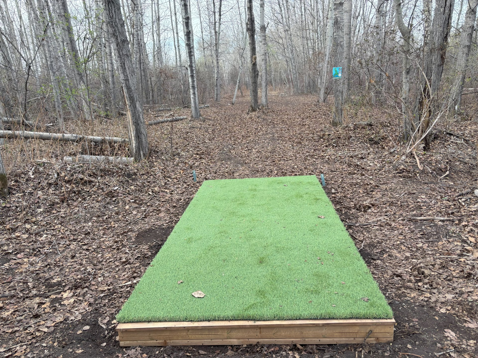 Hole 3 blues