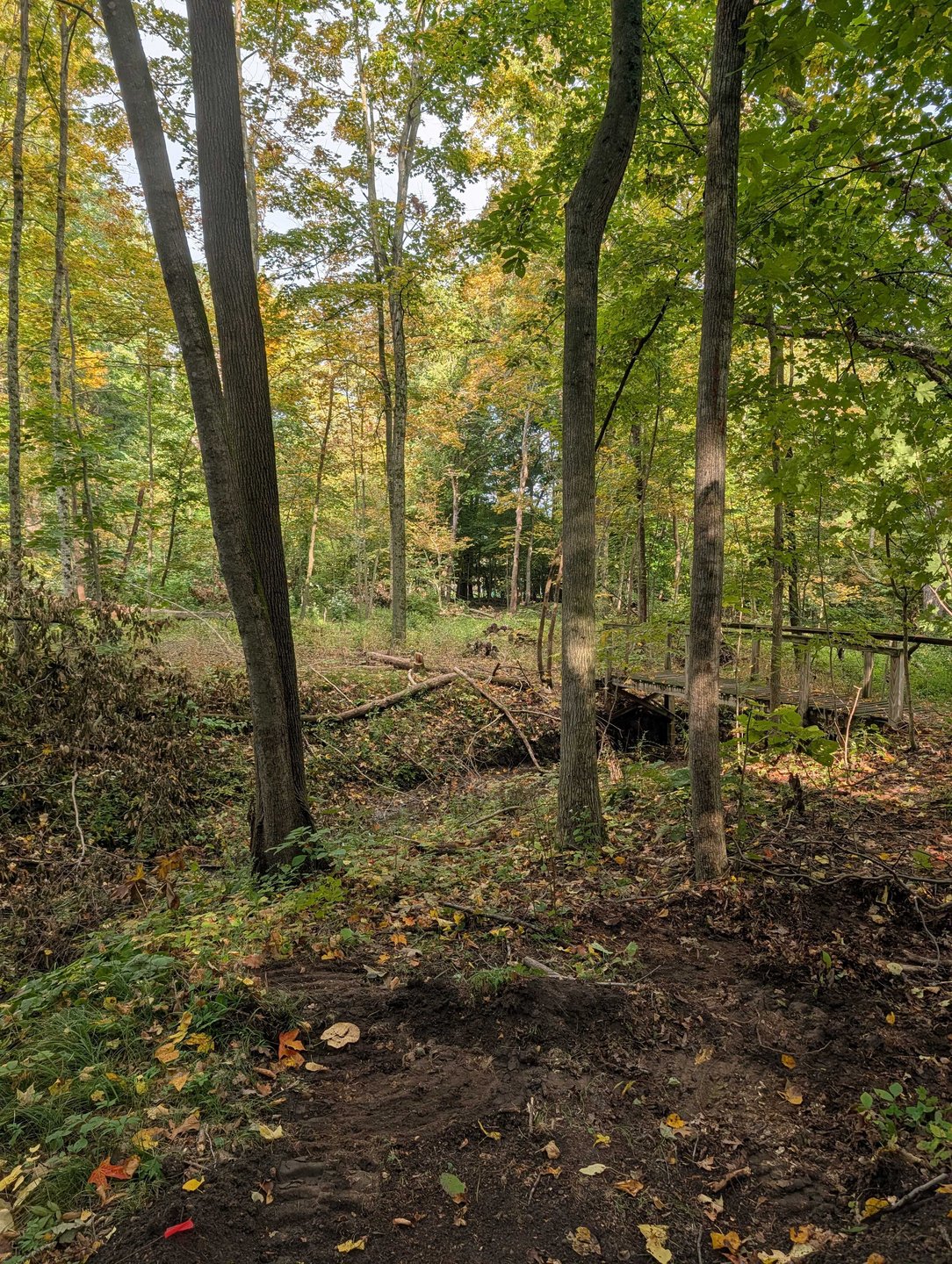 Hole 6 - Fairway from short tee - touchy shot that bends slightly to the right 