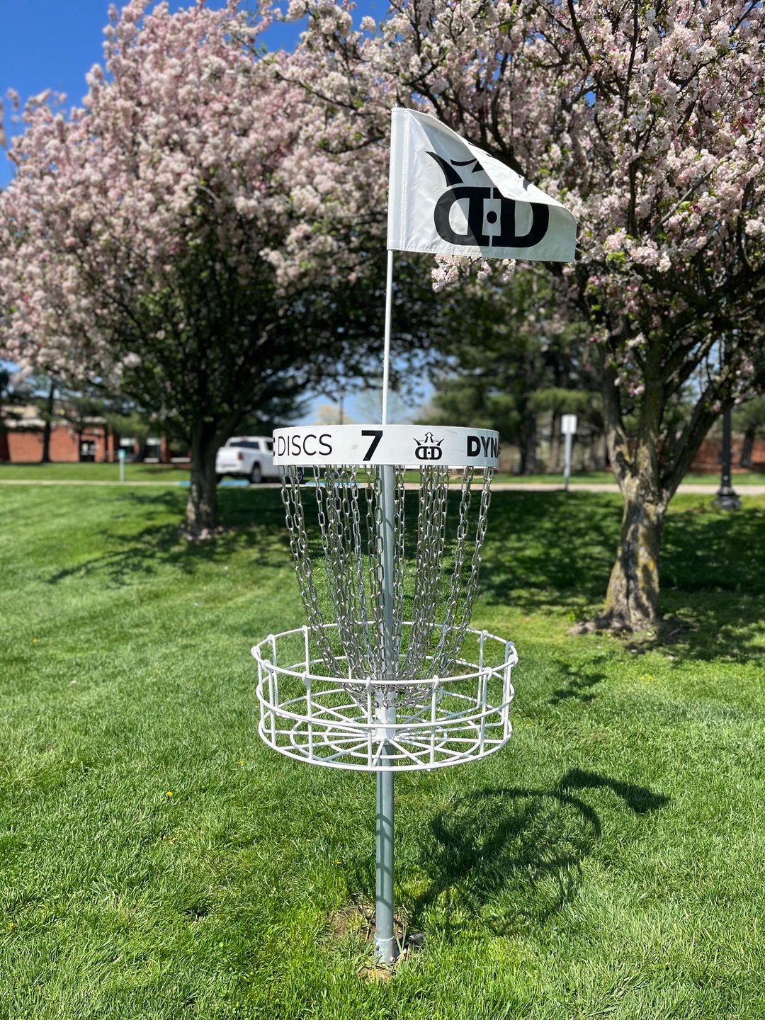 Hole 7 basket