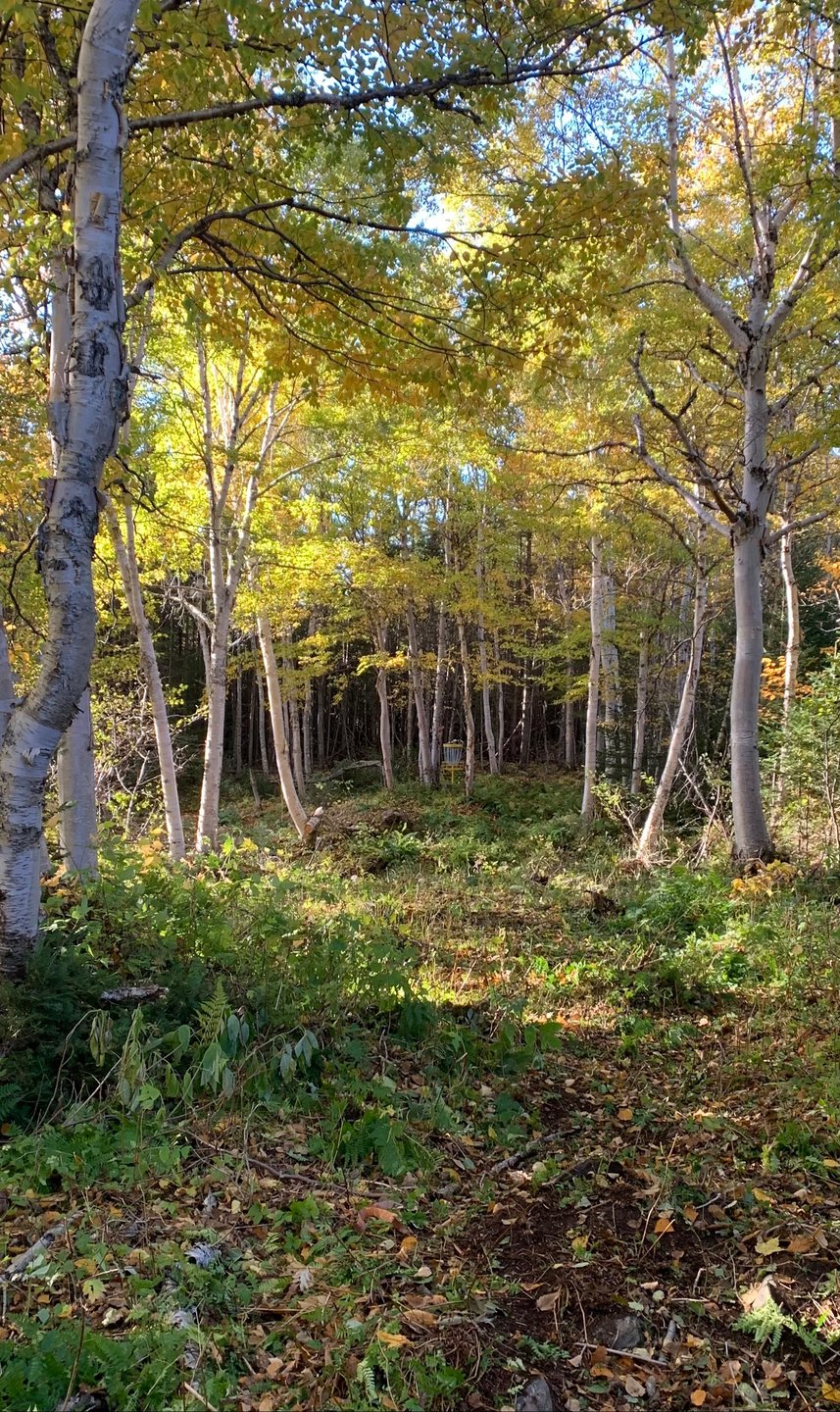 Photo taken during course construction. 