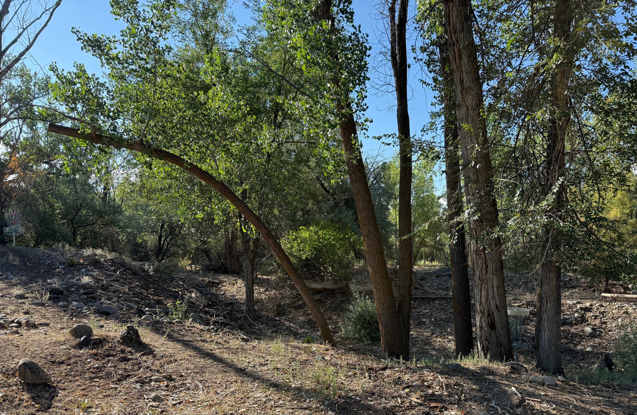 The short and long baskets of hole 3. The short is on the right side down in the hollow. The long basket is on the left side up on the mound.