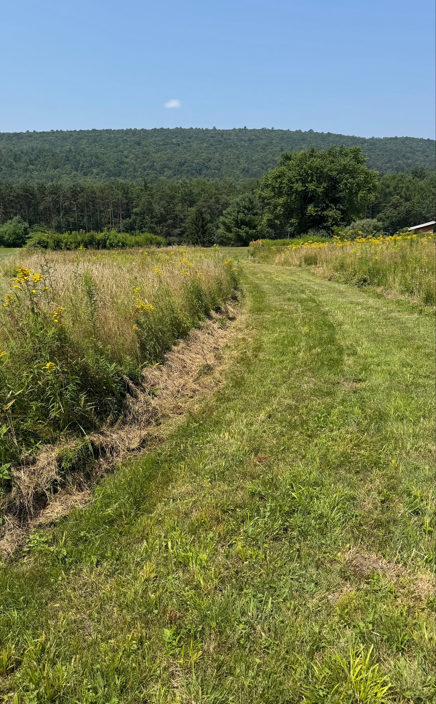 Back of tee is at junction of mowed paths 