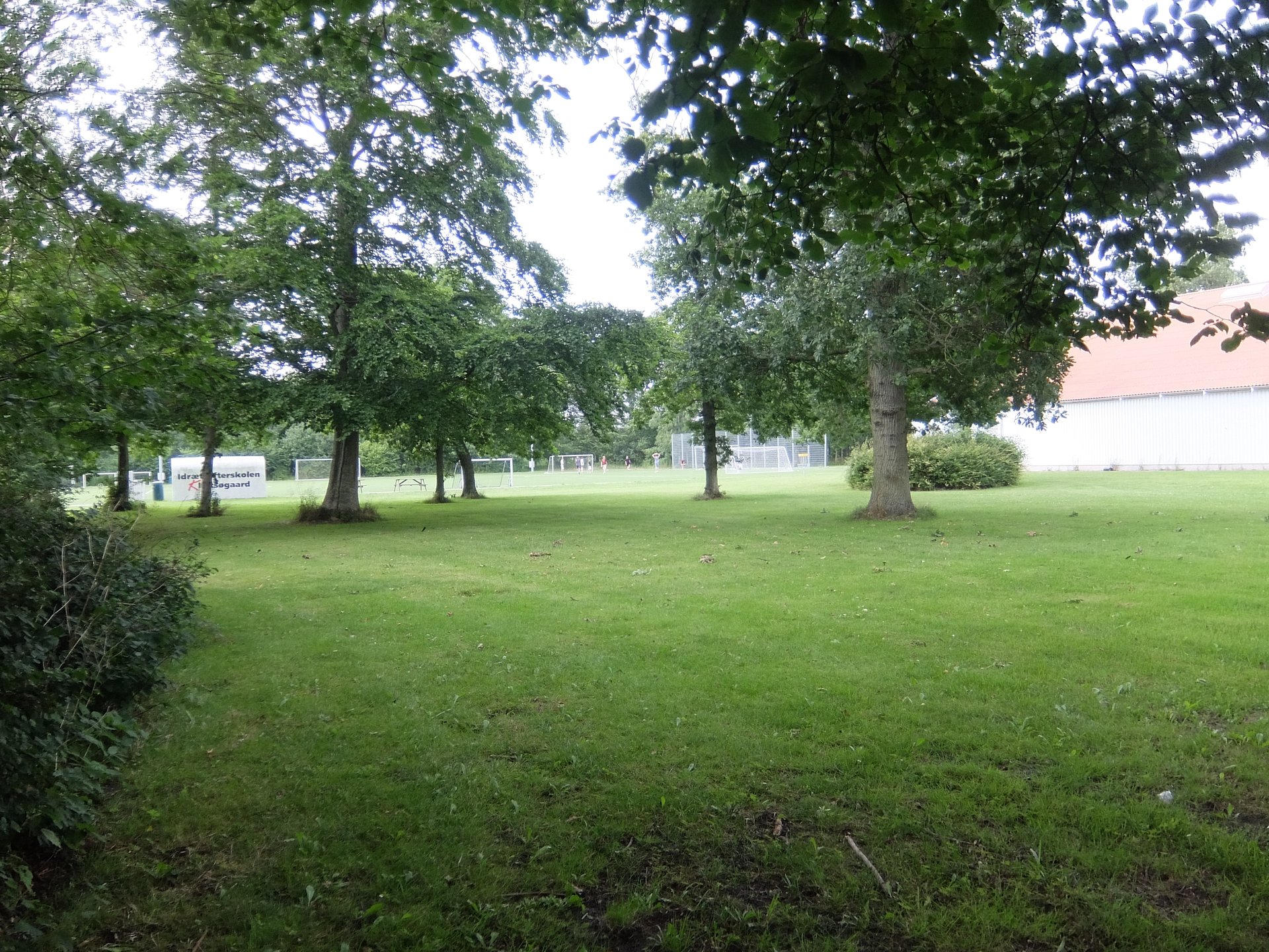 Tee 4 where you throw between the trees and avoid  getting lost in the round bush ih the background