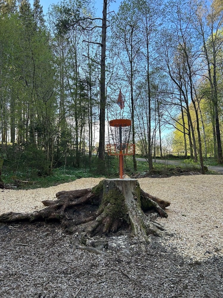 New basket location on hole 12