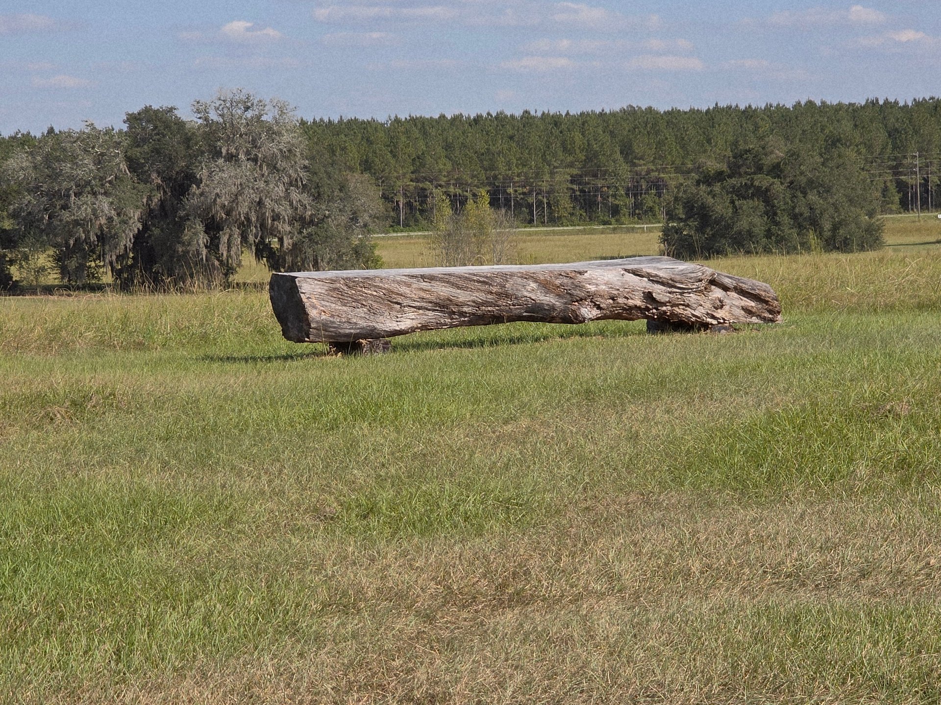 A bench seat out of a log close by hole 14s tee.