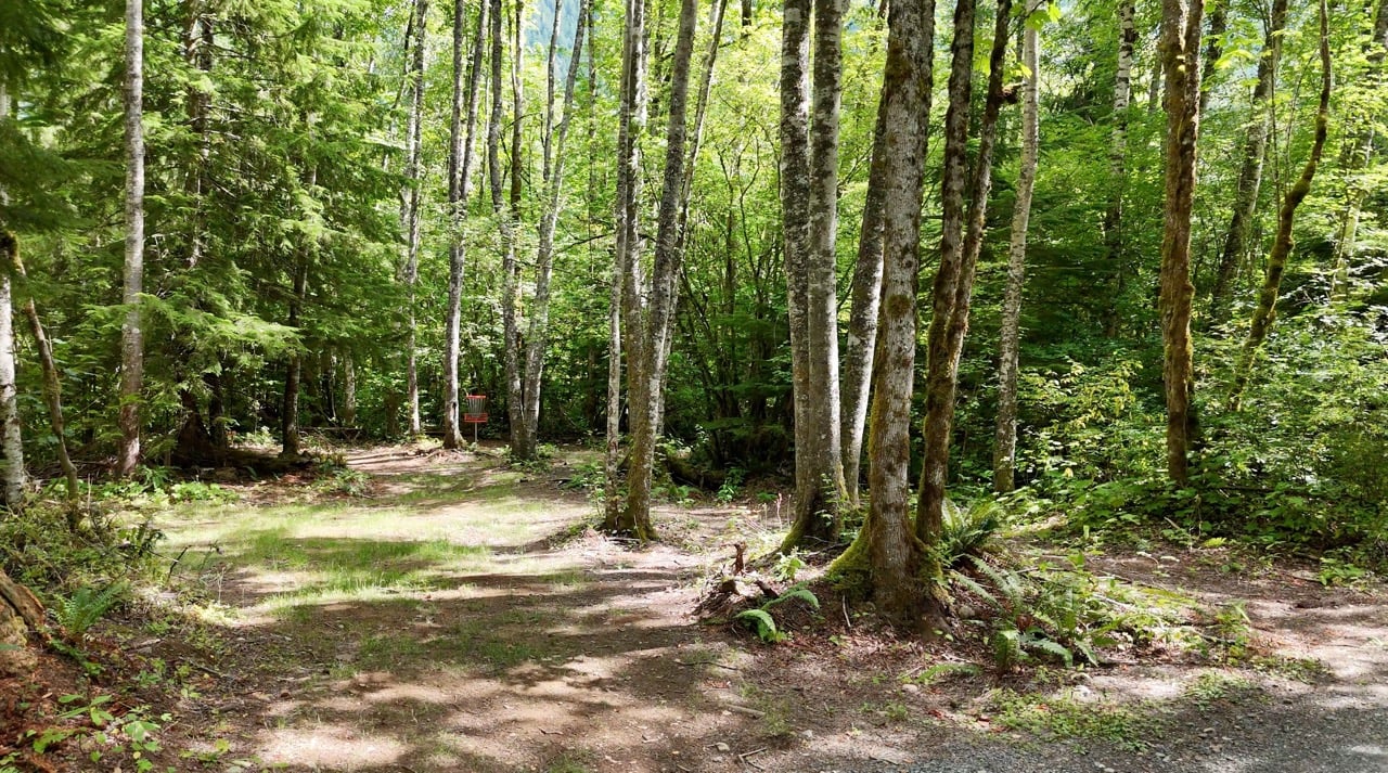 Hole 10 long pin position