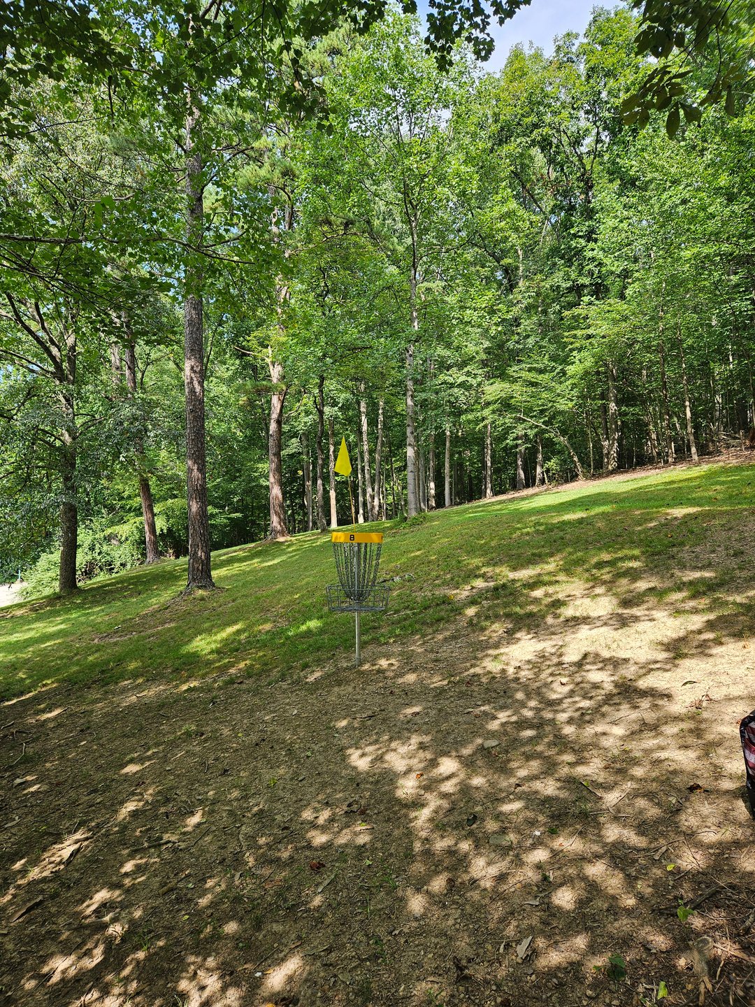 Behind Short Basket, Looking back up fairway
