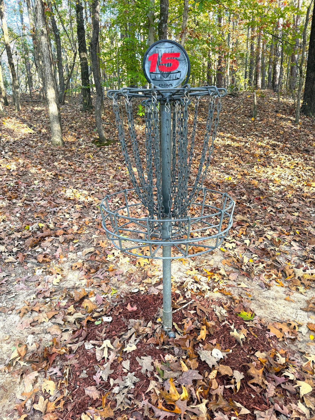 Hole 15 Basket