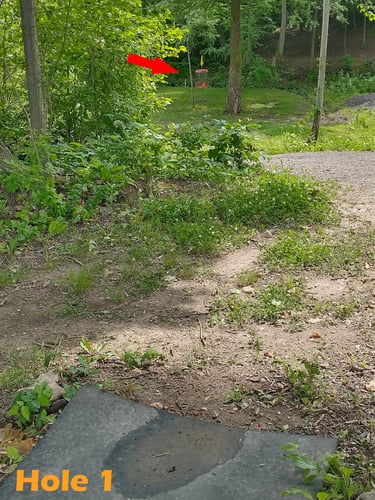 Rubber teepad near main Parma course's short tee to Red Veteran basket in valley (basket also used on main Parma course).