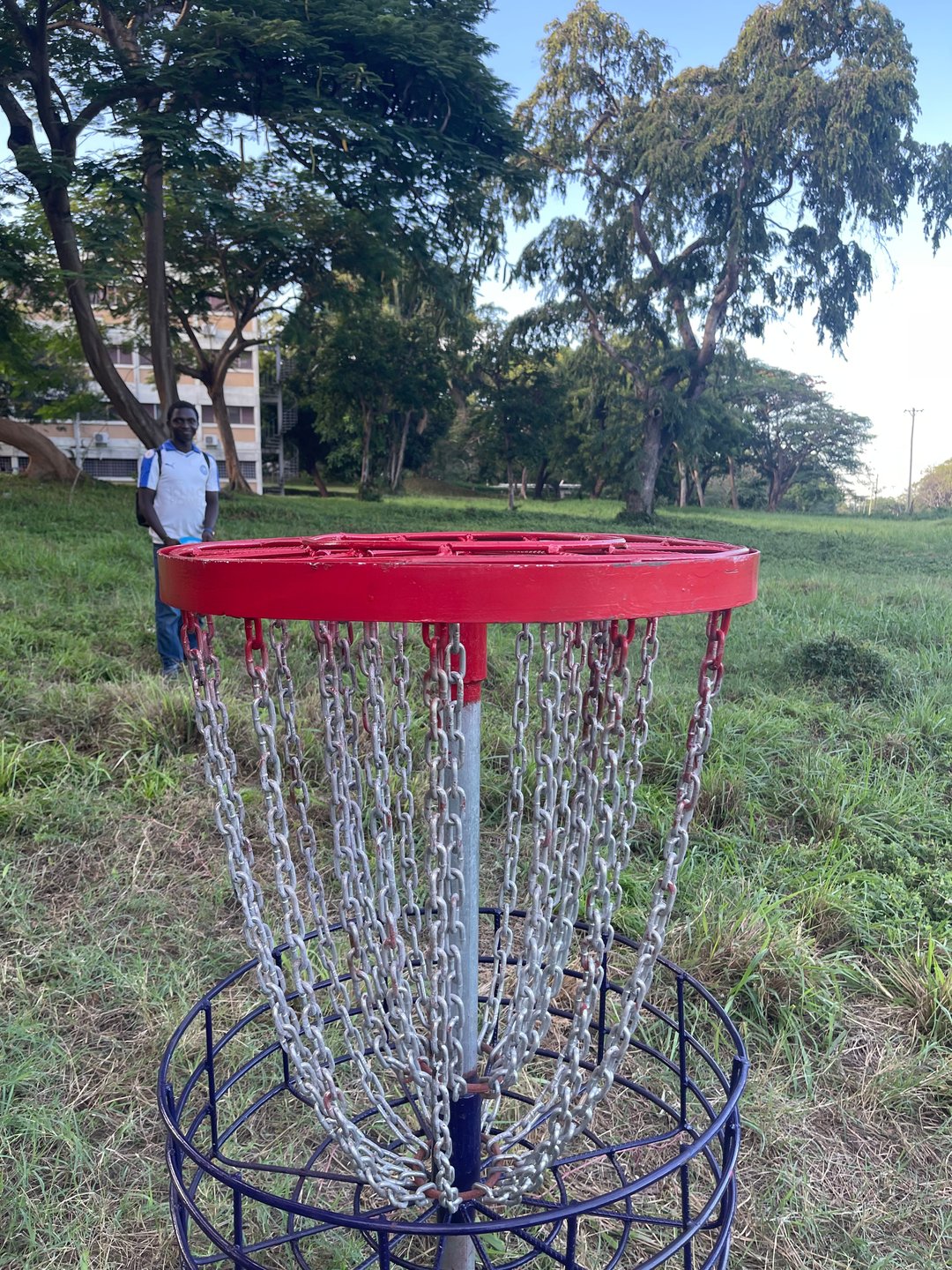 Hole 15 Basket