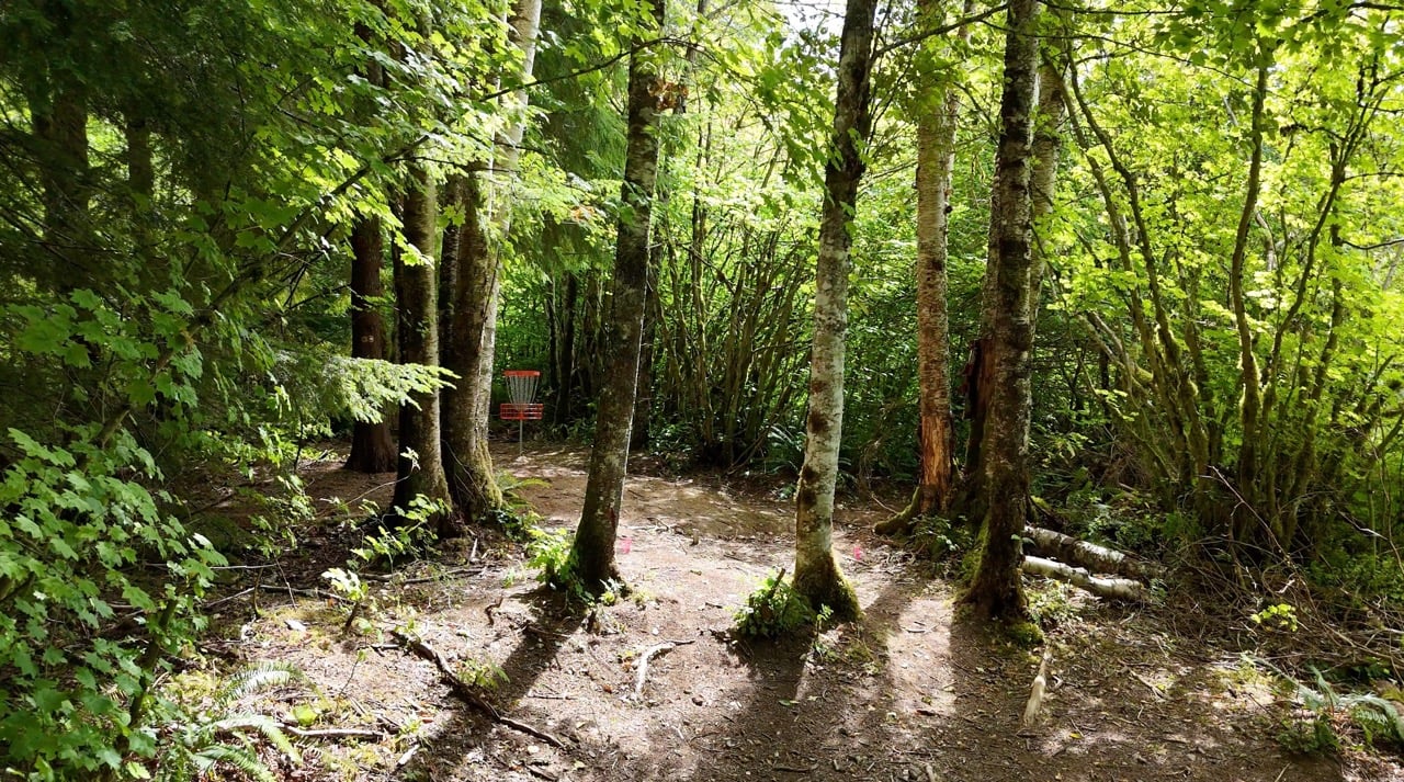 Hole 8 Long Pin Position