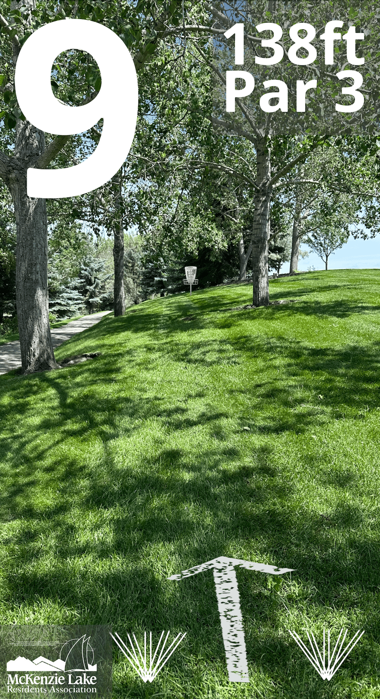 The path and left of the path is OB. Take a drop one meter in from where the disc crossed out of the path.