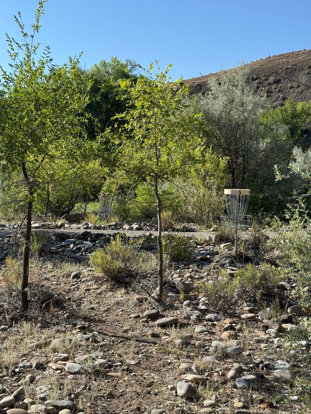 The short and long baskets of hole 5.