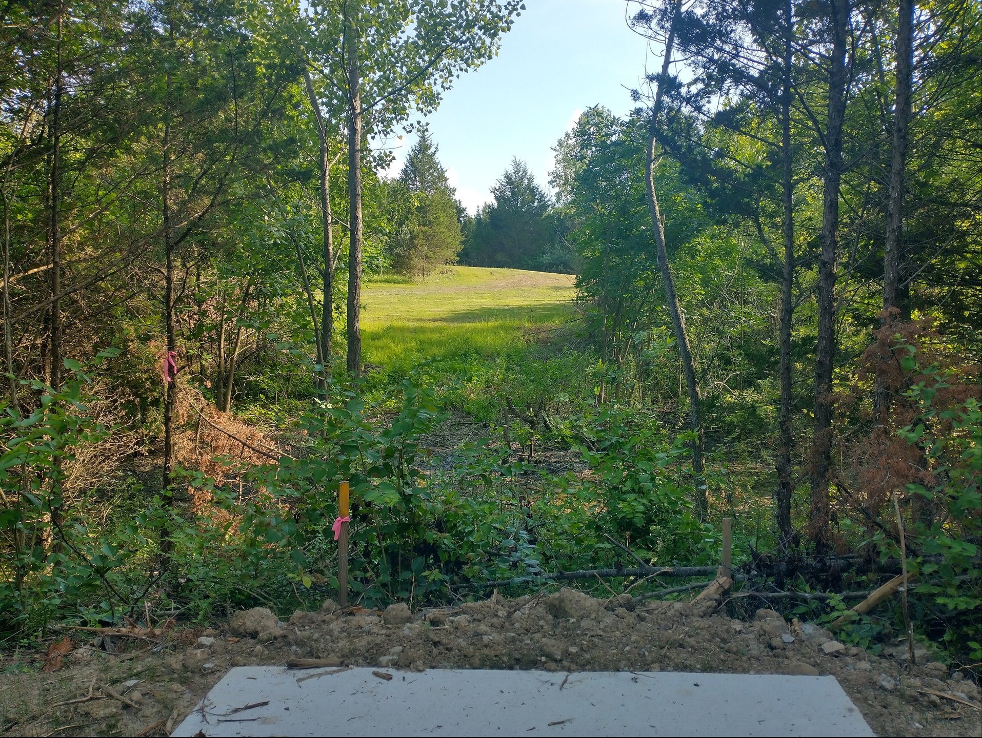 17 Gold Tee Pad