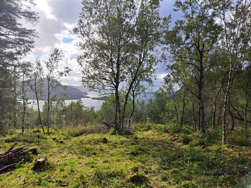 Basket 7 at Mosvoldskogen Diskgolfbane. Scencic views over the fjords and islands