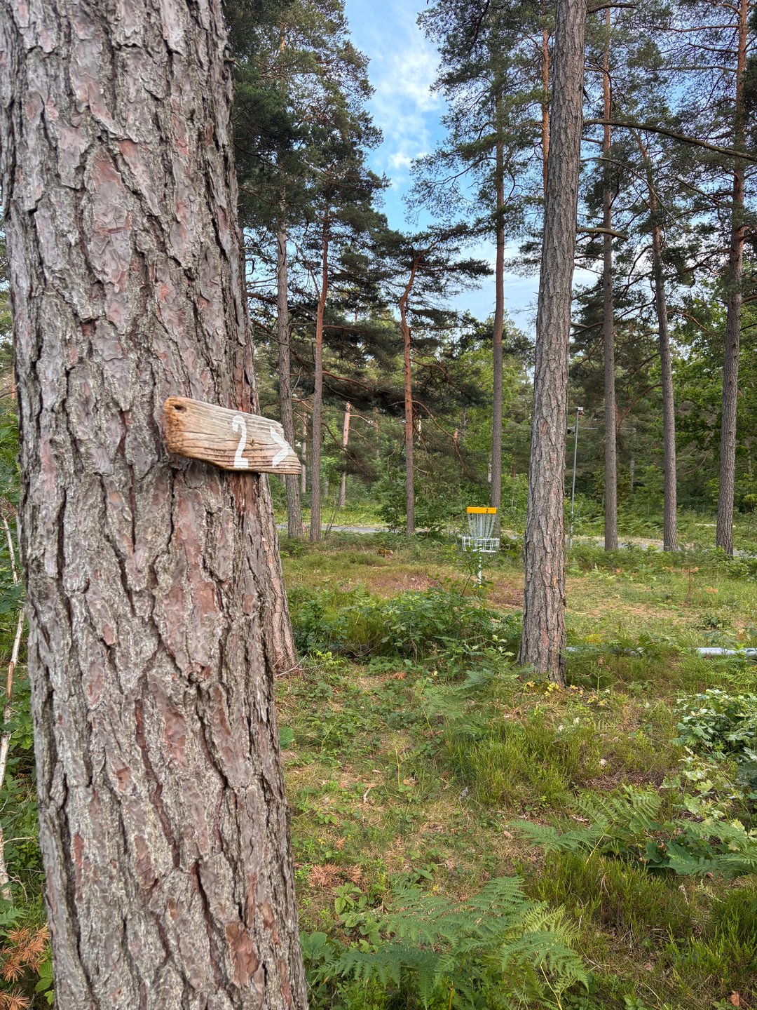 Hål 2 - Par 4 med två doglegs, så det kan behövas hjälp att svänga in vid rätt träd. 