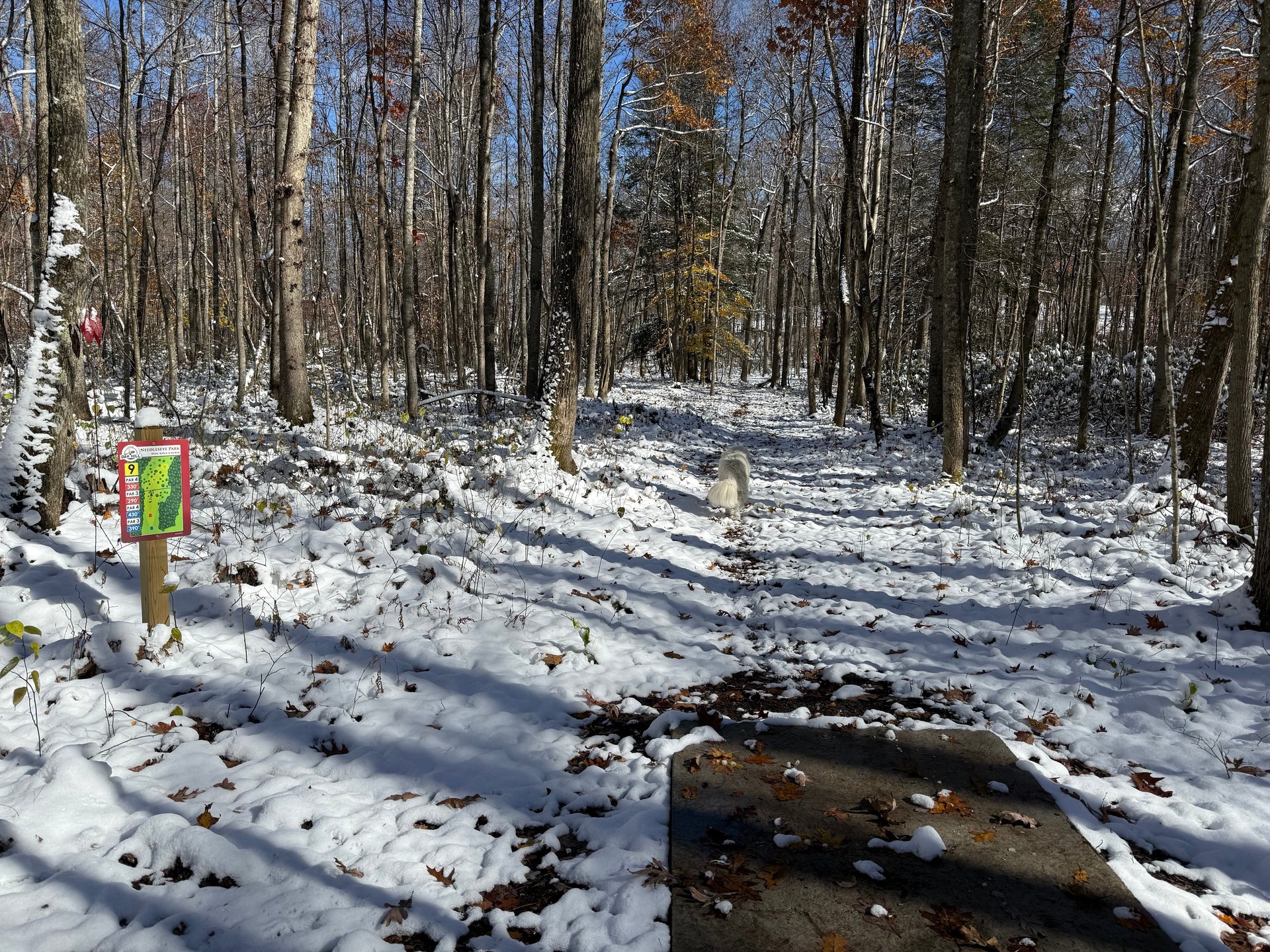 View from the short teepad