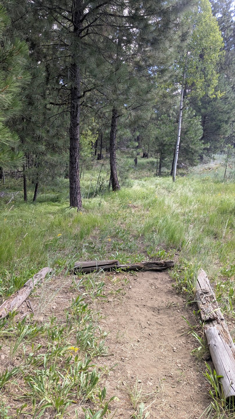 #11 Tee Pad 