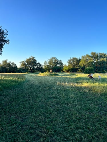 # 2 from the long tee