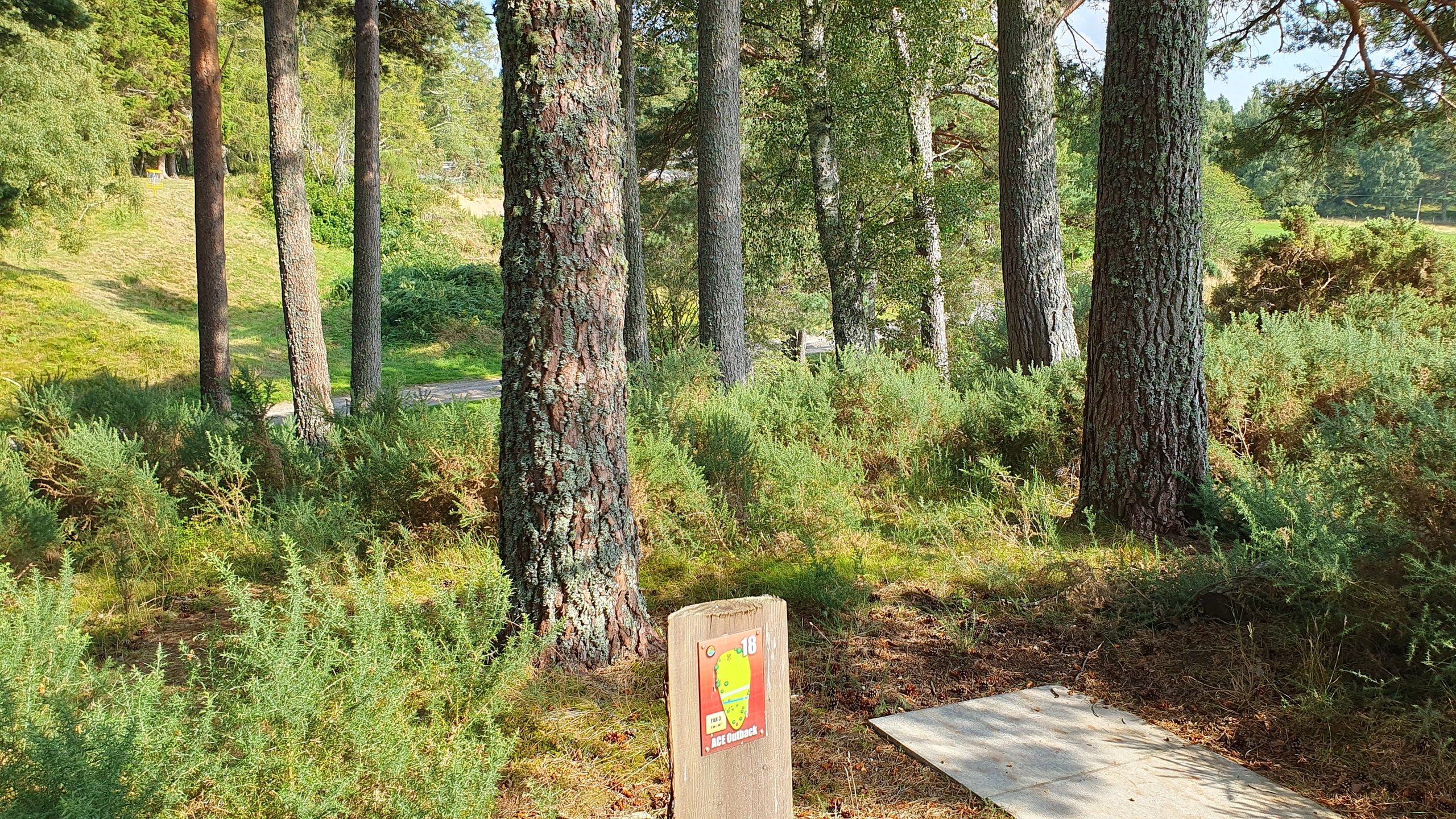 Hole #18 - Ace Outback