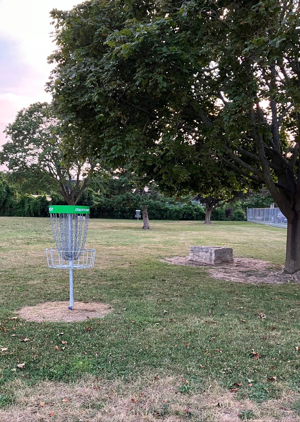 Green basket