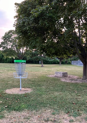 Green basket