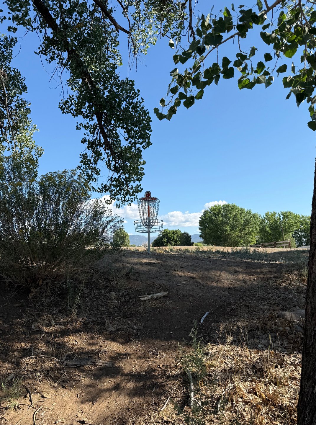 The long basket of hole 13 up the hill.