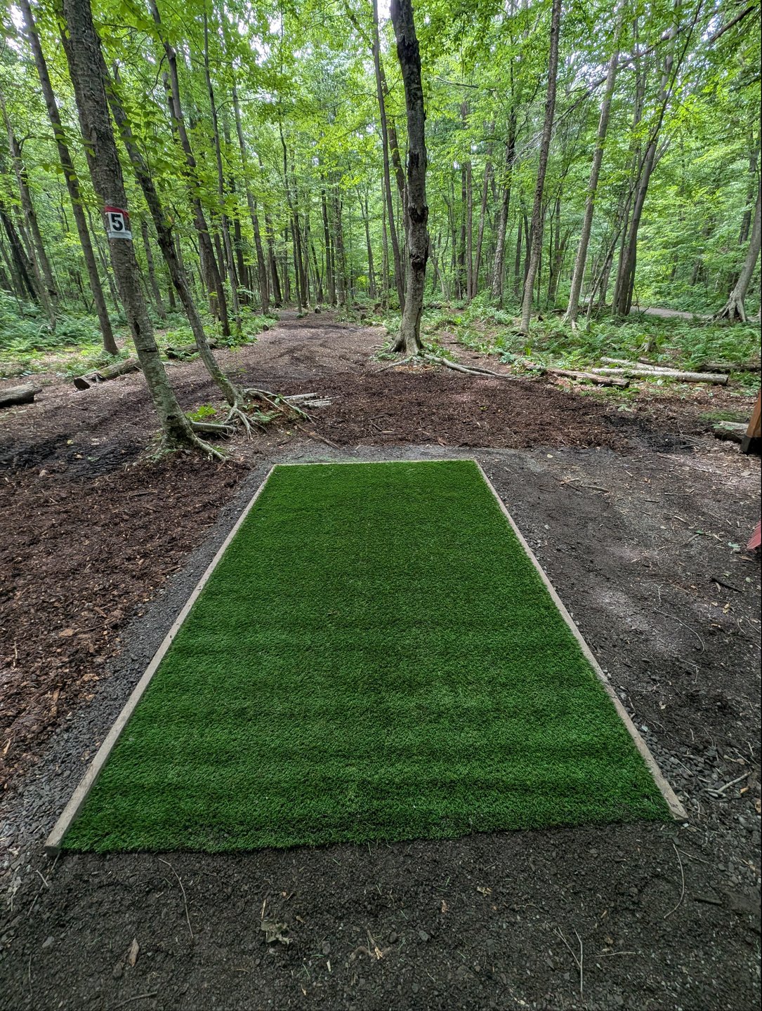 Nouveau/New turf #5