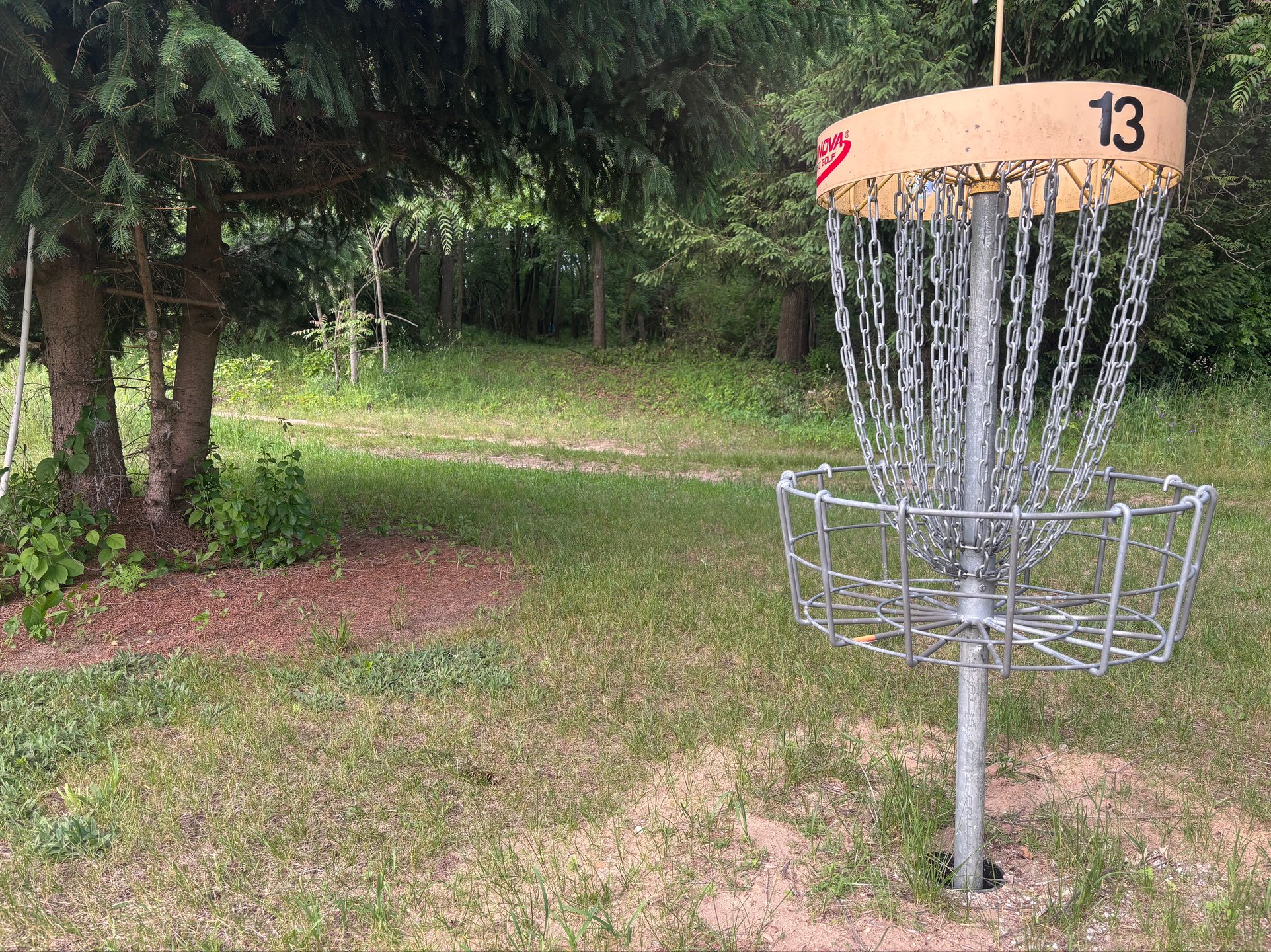 Looking back from the relatively open green through the final gap on the tight line that is hole 13.