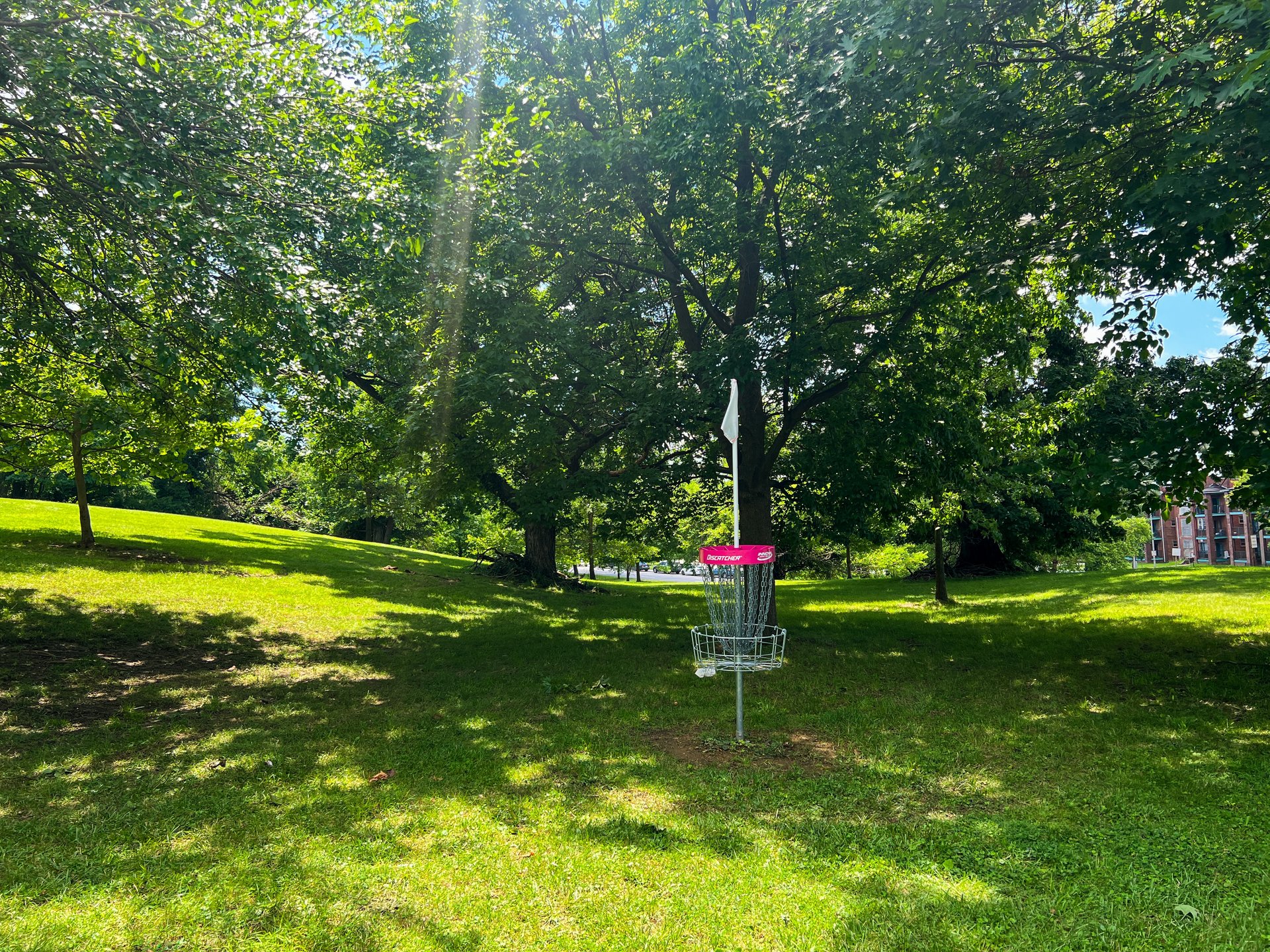 Hole 7's pink basket. Par 3. 373 ft. 