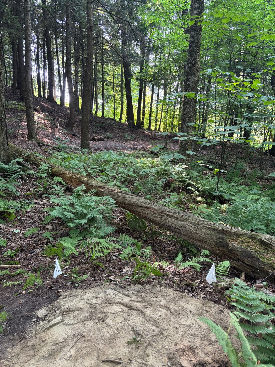 Hole 5 long tee pad