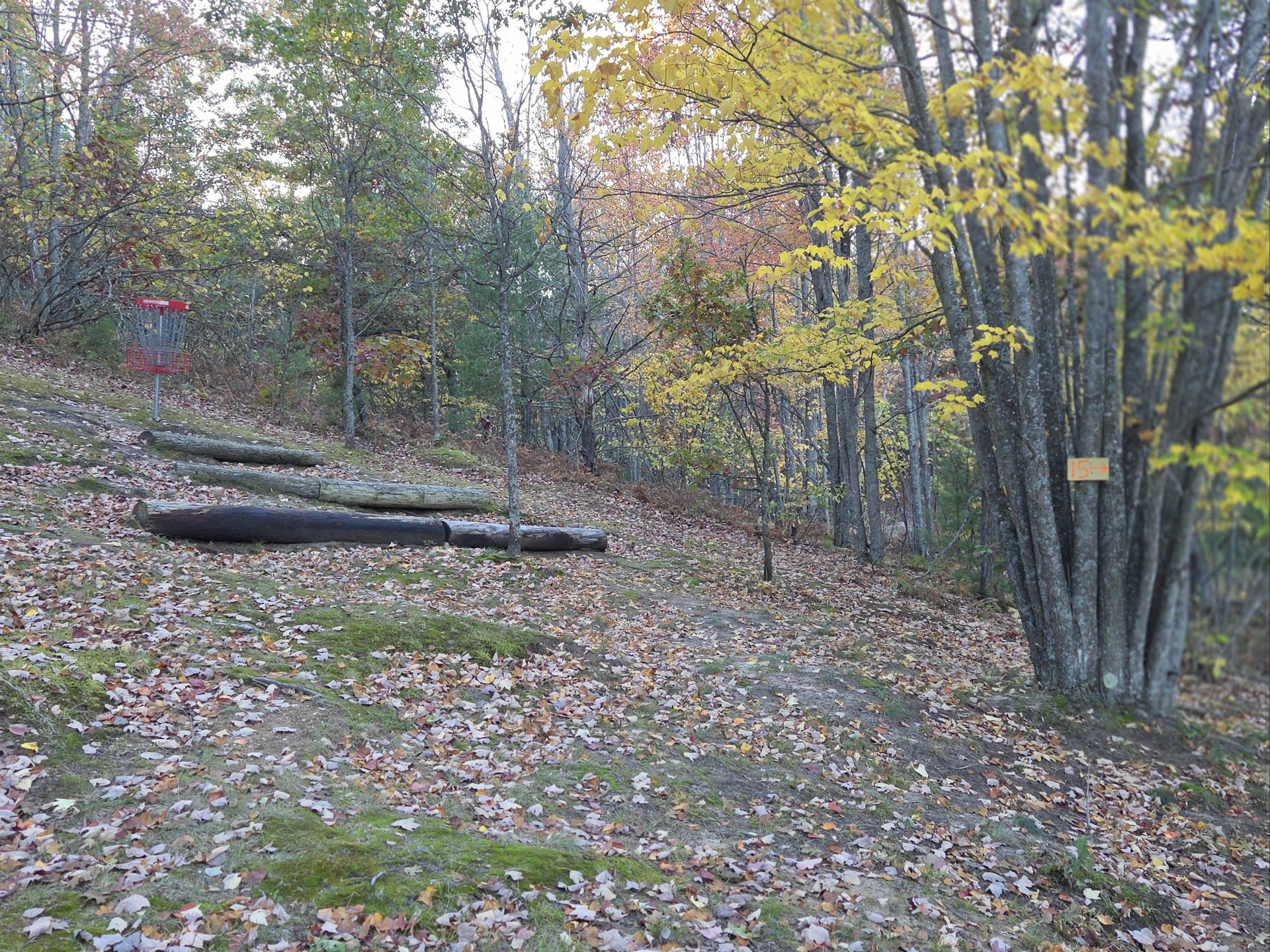 Hole 14 Basket
