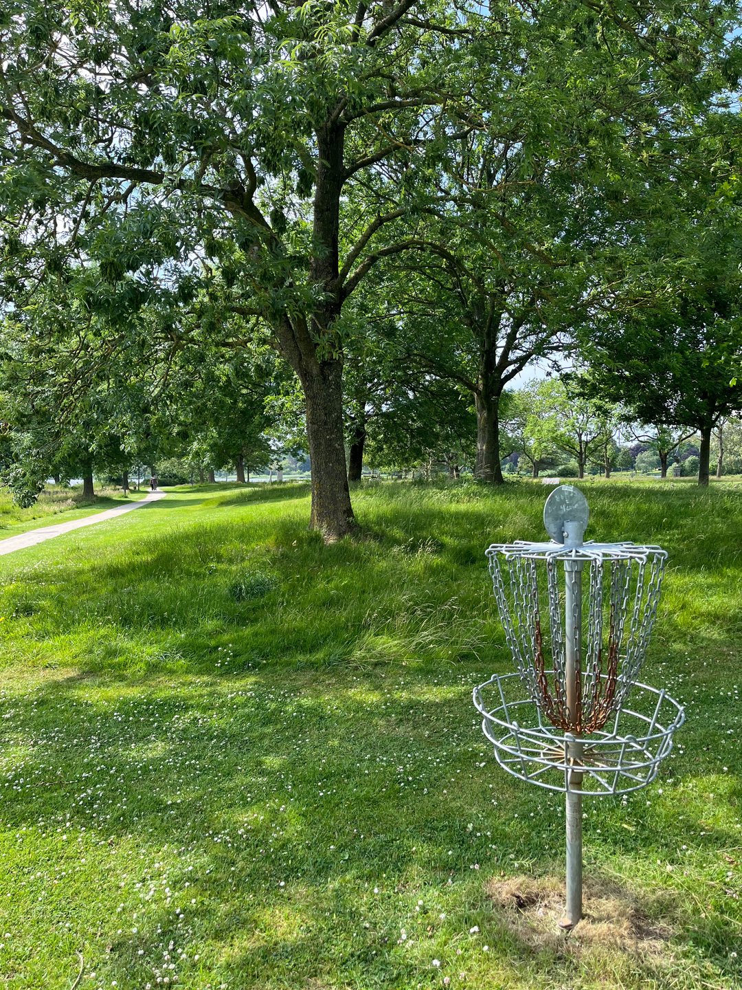 #6 from basket