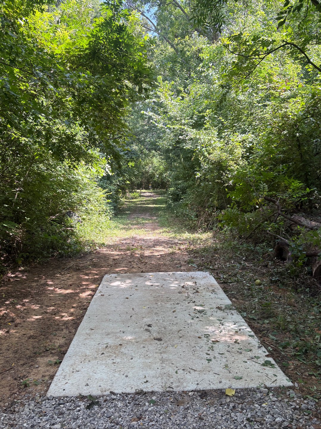 Can you say TUNNEL SHOT?   Love this hole!  