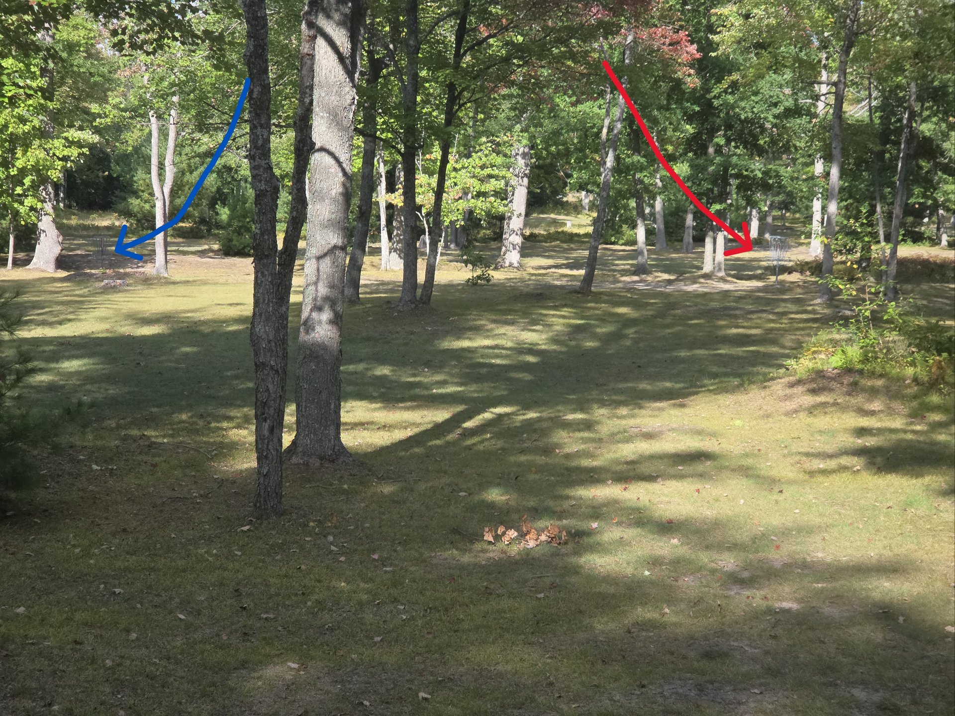 #12 Upshot Red & Blue baskets